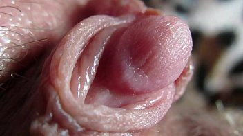 Riproduci Quel grosso cazzo di troppo cazzo vuole il cazzo il più urgente possibile